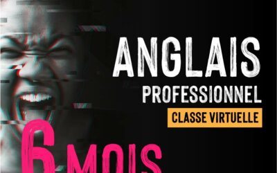 Anglais professionnel en e-Learning et Classes Virtuelles – Accès 6 mois