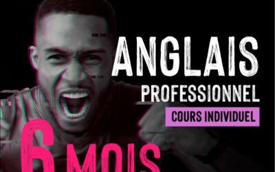 Anglais Professionnel e-Learning et Cours Individuels – Accès 6 mois